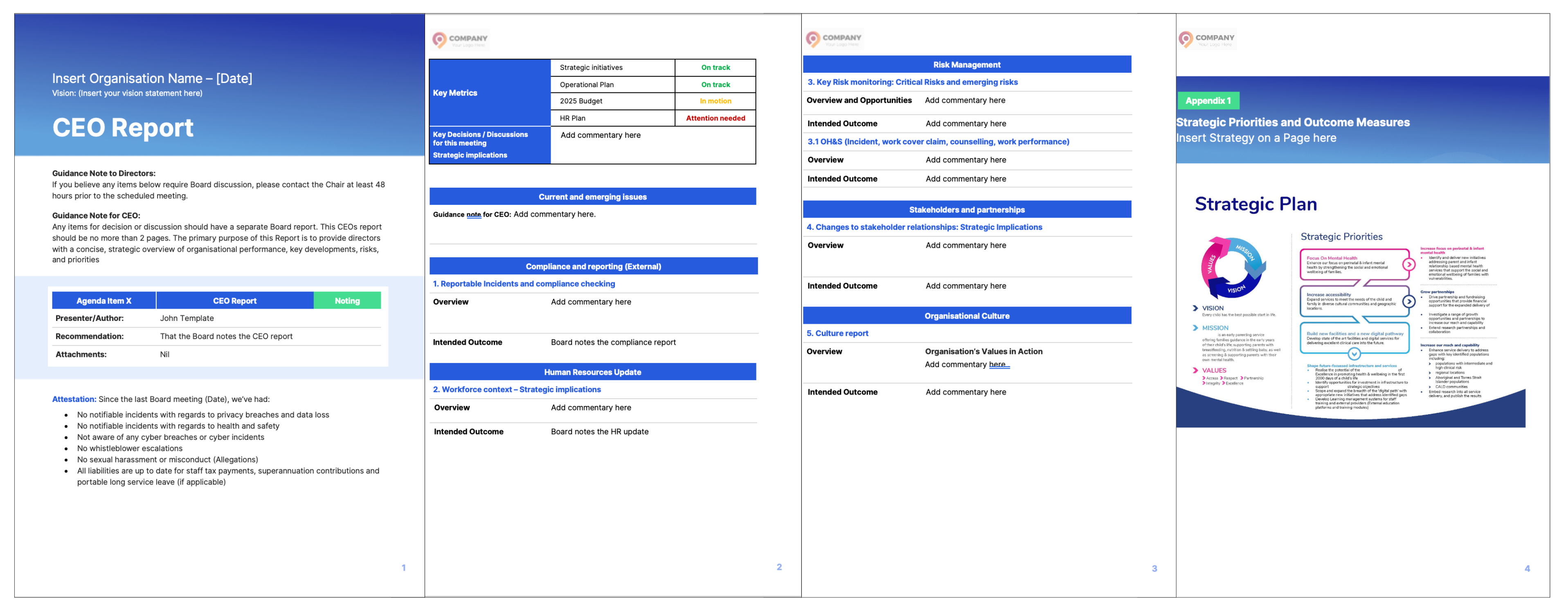 Revised CEO Report Template 2025