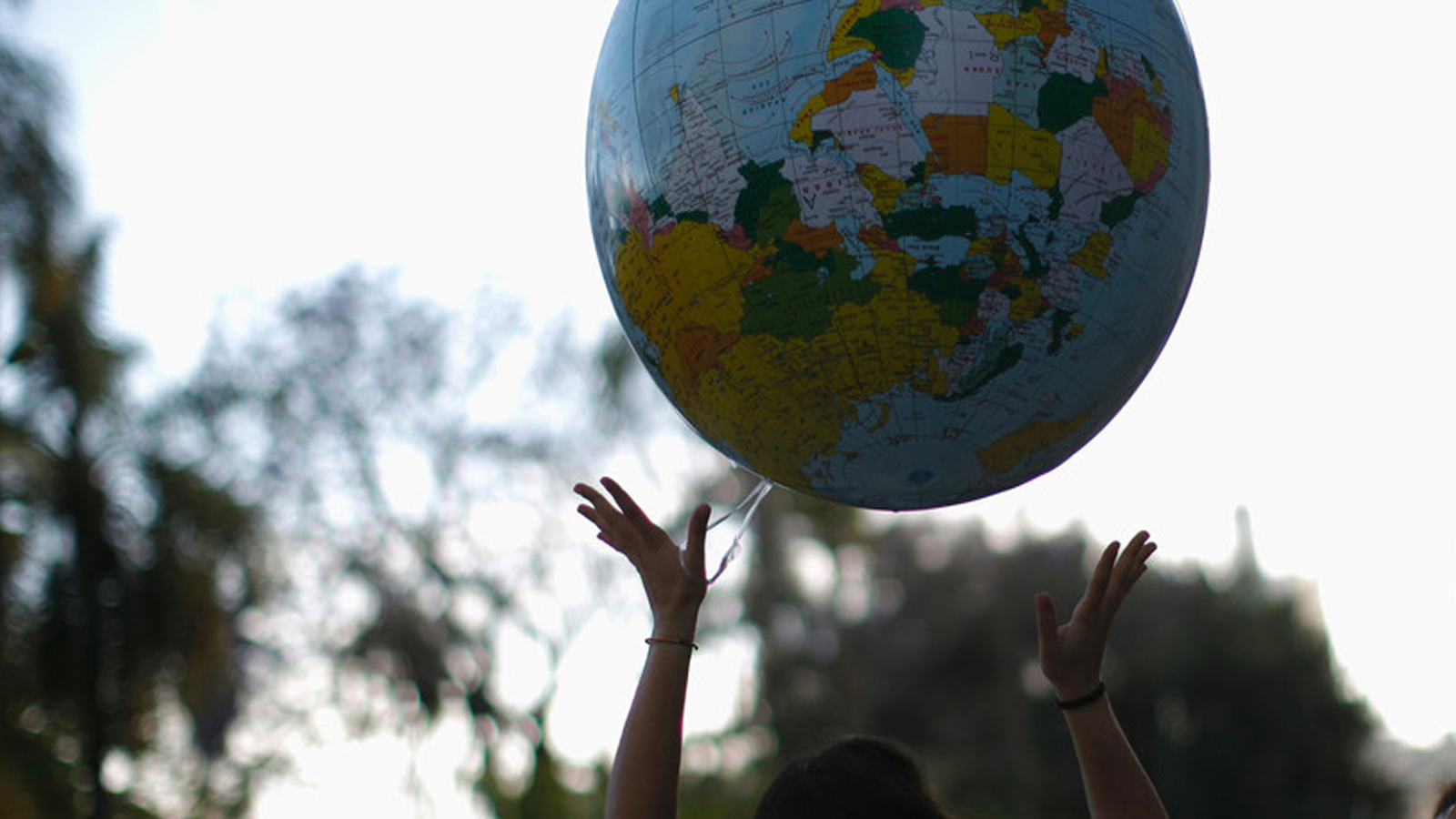 The difference between the chairperson and CEO BoardPro