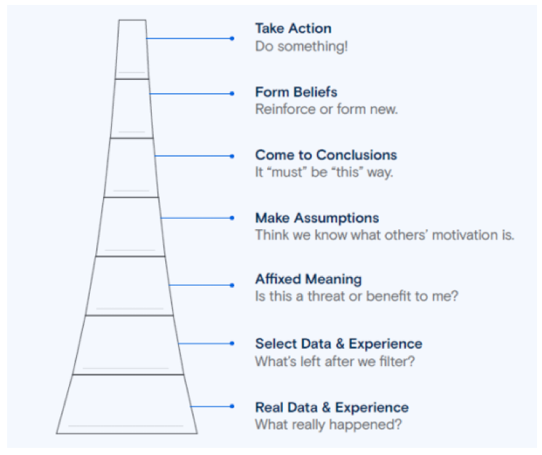 The ladder of inference